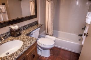 Deluxe Lodge Suite